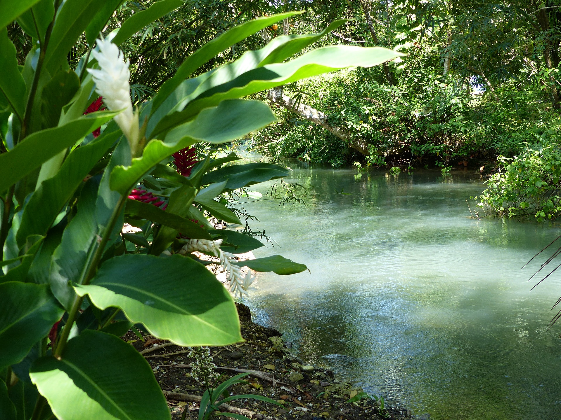 River in Port Antonio, Jamaica