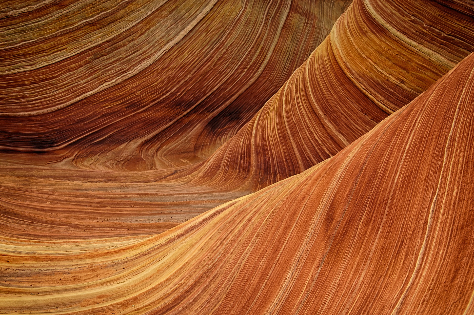 The Wave sandstone rock formation, Arizona, United States