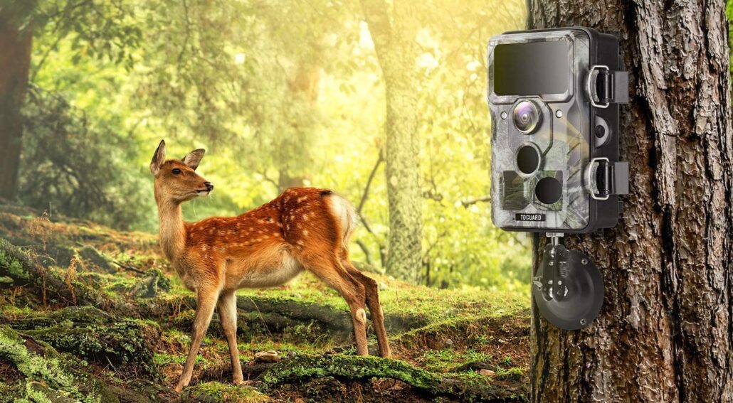 12 Best Selling Wildlife Trail Cameras Widest