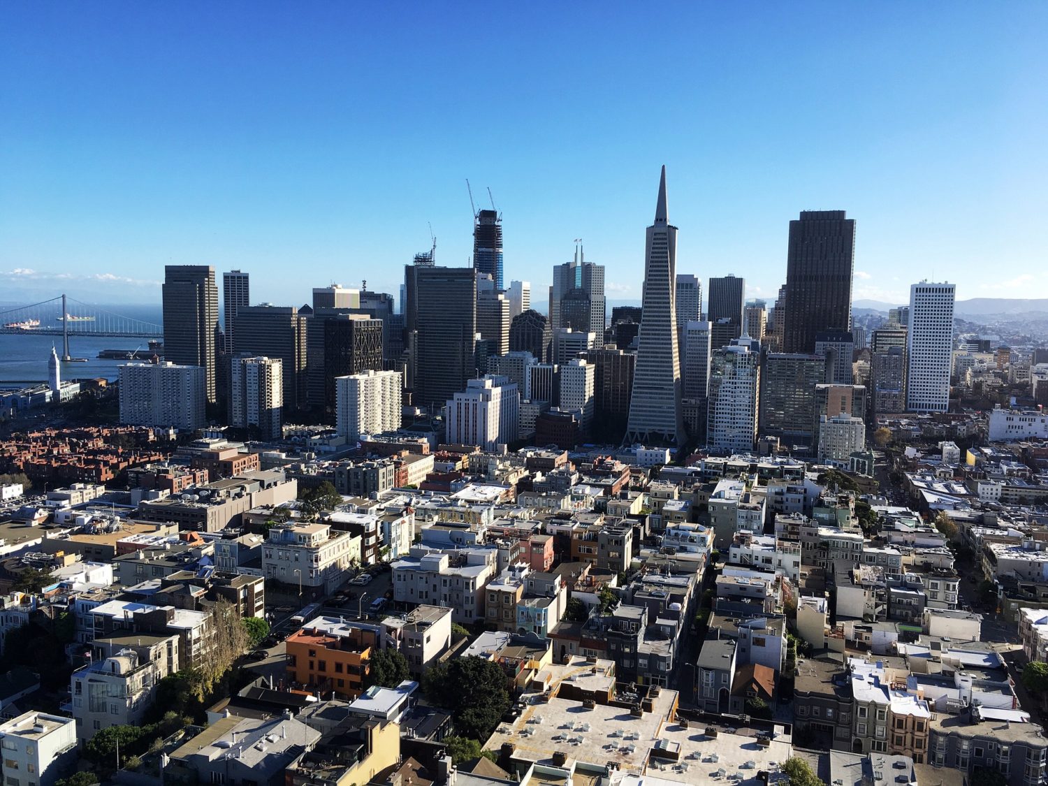 Aerial view of San Francisco, California, USA