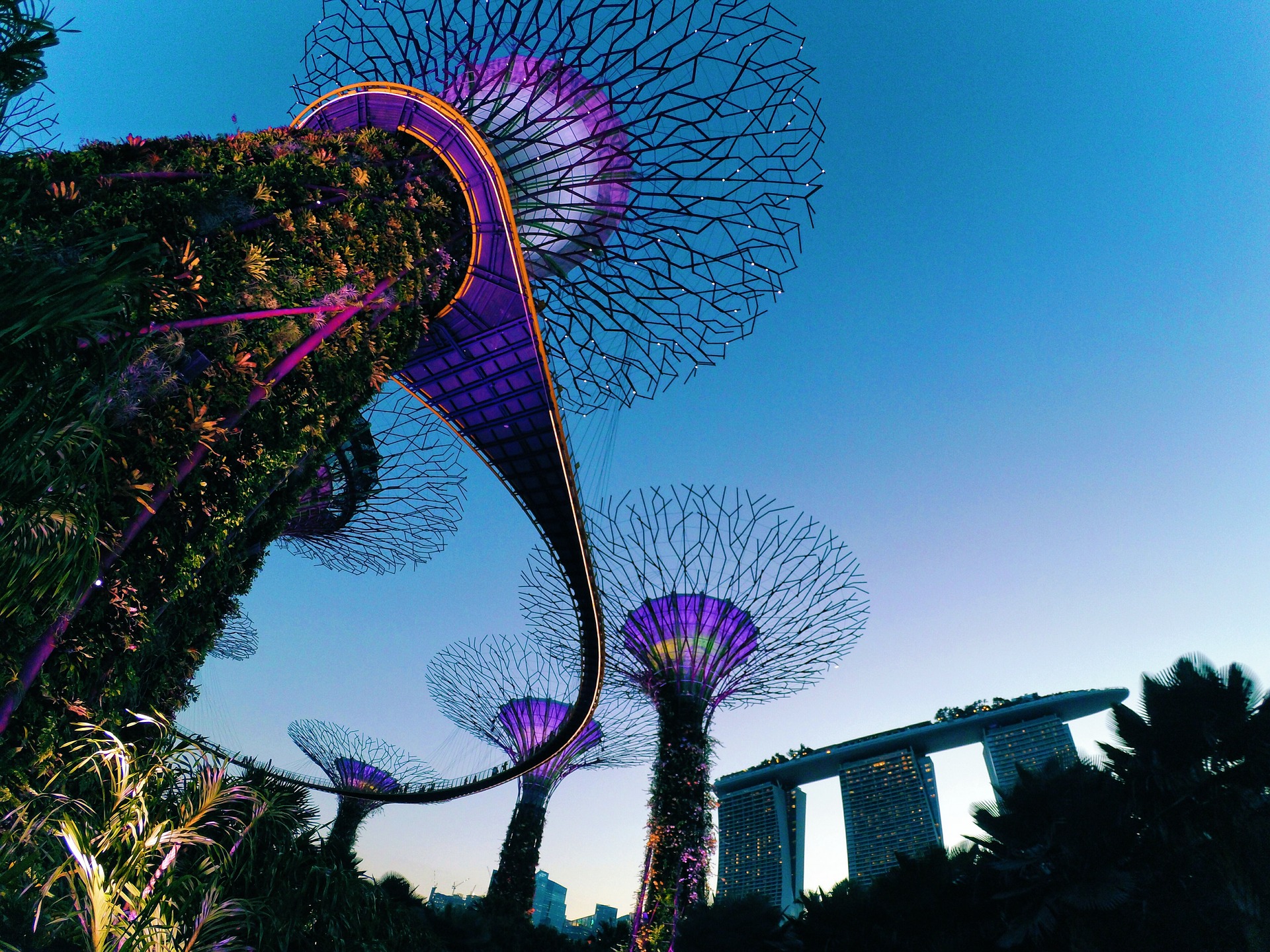 Gardens by the Bay and Marina Bay Sands, Singapore