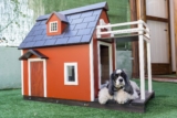 20 Amazing Best Selling Dog Houses